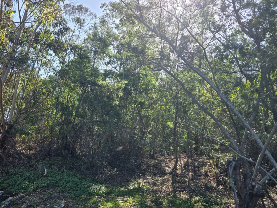 0 Bedroom Property for Sale in Sedgefield Rural Western Cape